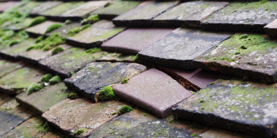 Felinfoel roof repair costs